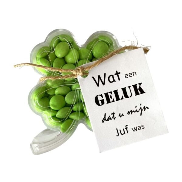 klaver 4 bedankje juf einde schooljaar bedankt juf collega meester school basisschool fijne vakantie 3